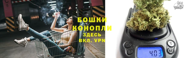 гашик Белоозёрский