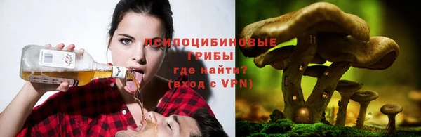 гашик Белоозёрский