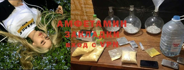 гашик Белокуриха