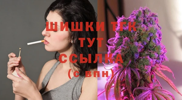 гашик Белокуриха