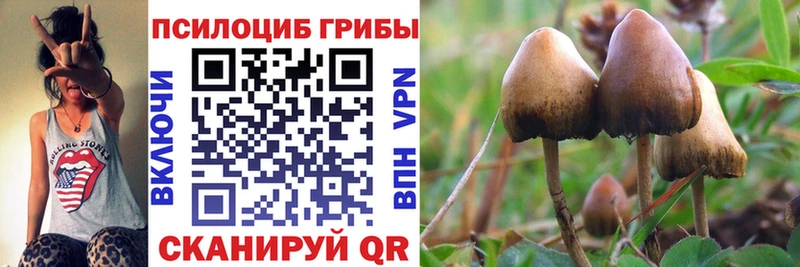 Псилоцибиновые грибы Magic Shrooms  Воркута 
