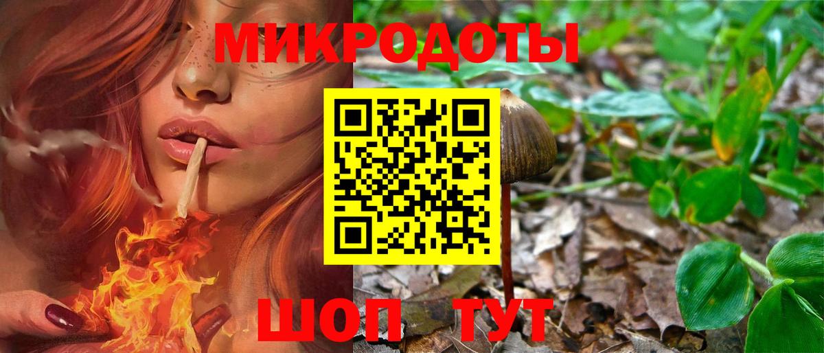 Воркута  Псилоцибиновые грибы мицелий  наркотики  Вход с VPN 